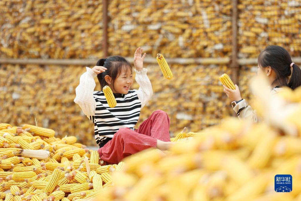 巴黎人游戏官网